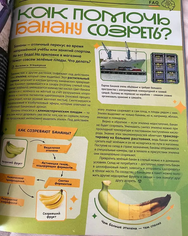 Сократи текст пожалуйста