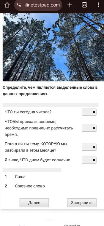 Реши задание