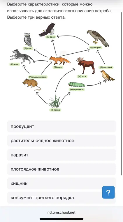 Рар