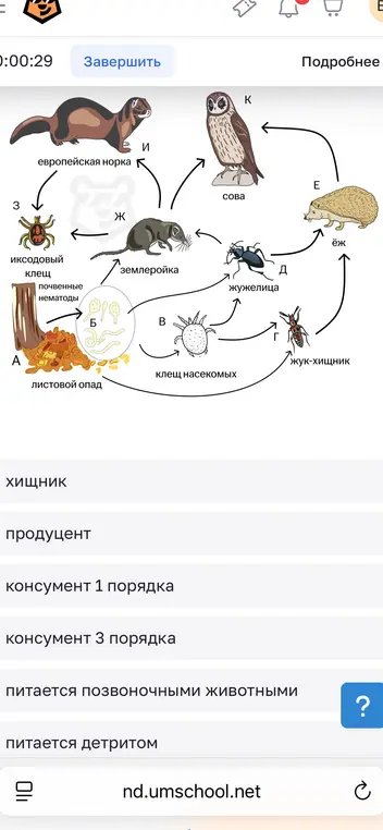 Смр