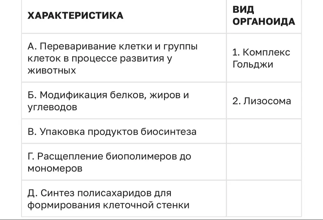 Сопоставь характеристики (А, Б, В, Г, Д) с видами органоидов (1, 2)