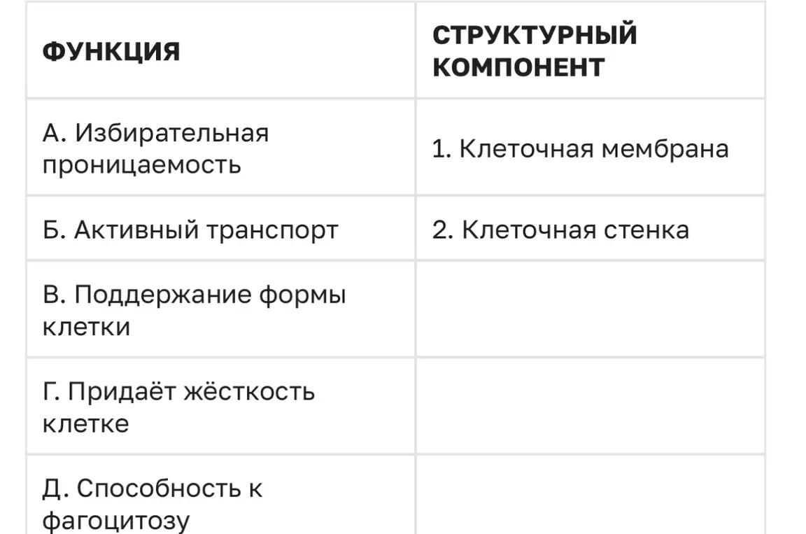 Сопоставь функции клетки с её структурными компонентами
