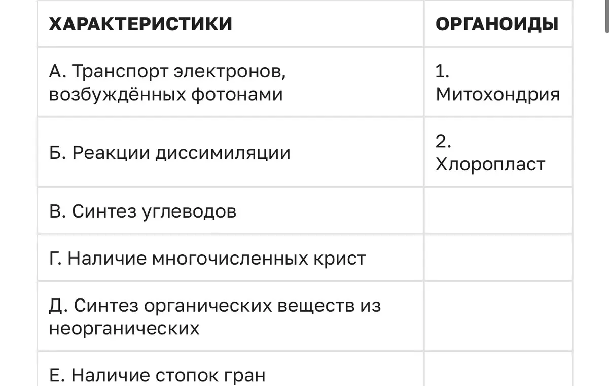 Как соотнести характеристики органоидов с самими органоидами (митохондрия, хлоропласт)?