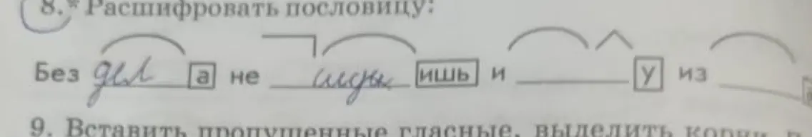 Расшифруй пословицу: Без дел а не ишь и у из