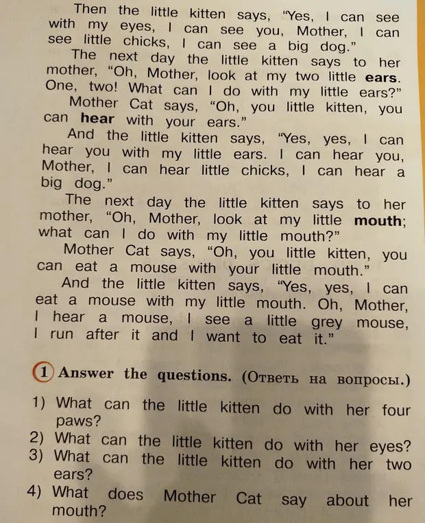 Ответь на вопросы по тексту на английском языке: What can the little kitten do with her four paws?