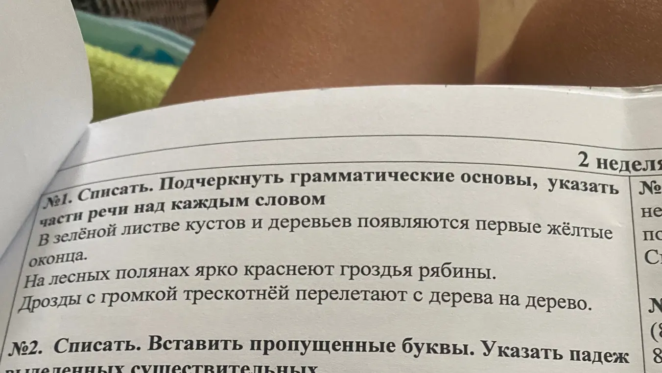 Выполни упражнение: подчеркни грамматические основы, укажи части речи над каждым словом
