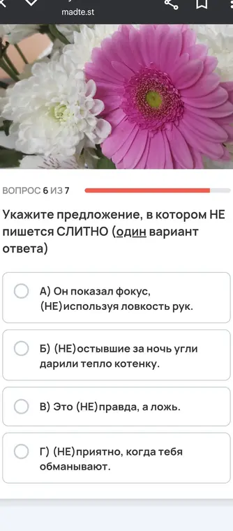 Укажи предложение, в котором НЕ пишется СЛИТНО.