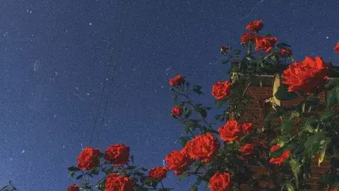 Вычисли значение выражения (2.17*3.7-1.83*2.3):19.1