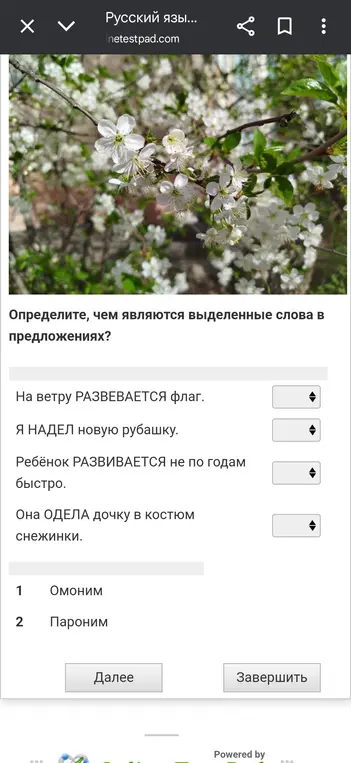 Определи, чем являются выделенные слова в предложениях