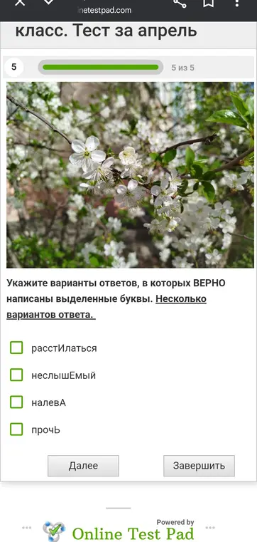 Укажи варианты ответов, в которых ВЕРНО написаны выделенные буквы. Несколько вариантов ответа