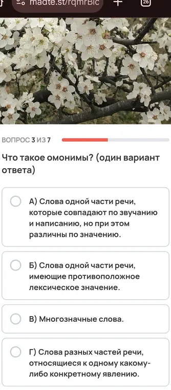 Что такое омонимы?