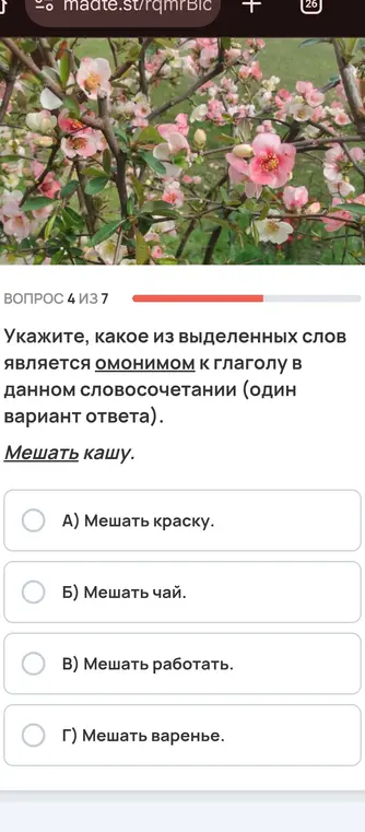 Укажи, какое из выделенных слов является омонимом к глаголу в данном словосочетании "Мешать кашу"