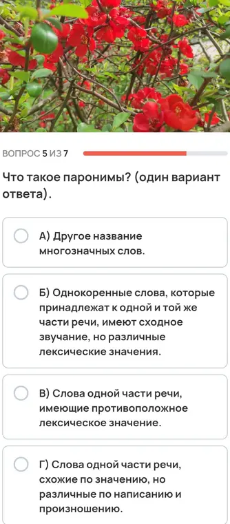 Определи, что такое паронимы