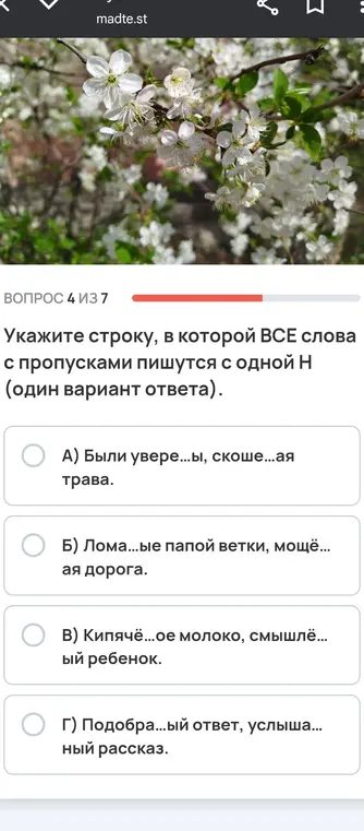 Укажи строку, в которой ВСЕ слова с пропусками пишутся с одной Н