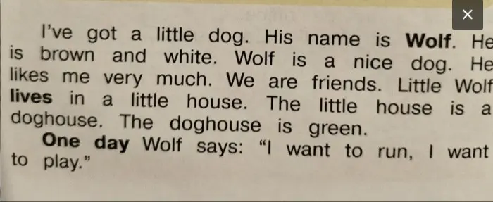 Переведи текст с английского языка: 'I've got a little dog. His name is Wolf. He is brown and white. Wolf is a nice dog. He likes me very much. We are friends. Little Wolf lives in a little house. The little house is a doghouse. The doghouse is green. One day Wolf says: "I want to run, I want to play." '