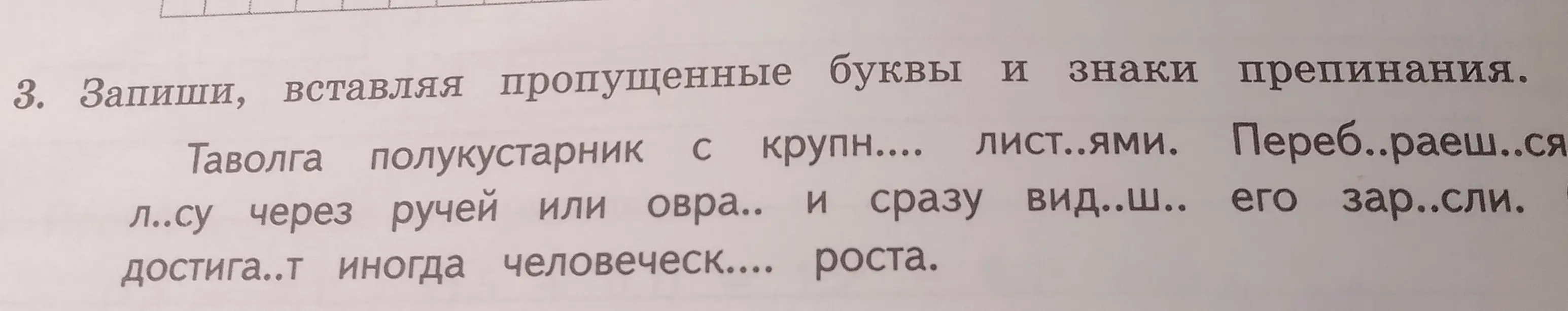 Запиши, вставляя пропущенные буквы и знаки препинания в предложении "Таволга полукустарник с крупн.... лист..ями."