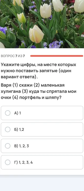 Укажи цифры, на месте которых нужно поставить запятые в предложении "Варя (1) скажи (2) маленькая хулигана (3) куда ты спрятала мои очки (4) портфель и шляпу?"