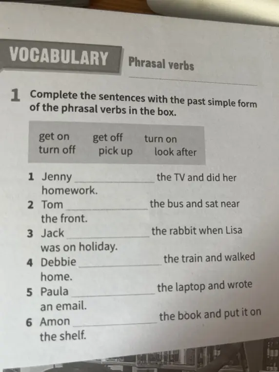 Complete the sentences with the past simple form of the phrasal verbs in the box.