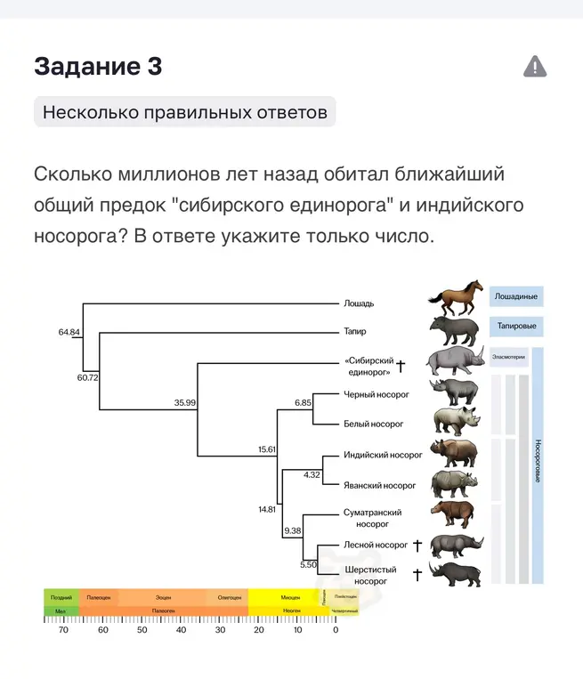 Сколько миллионов лет назад обитал ближайший общий предок "сибирского единорога" и индийского носорога?