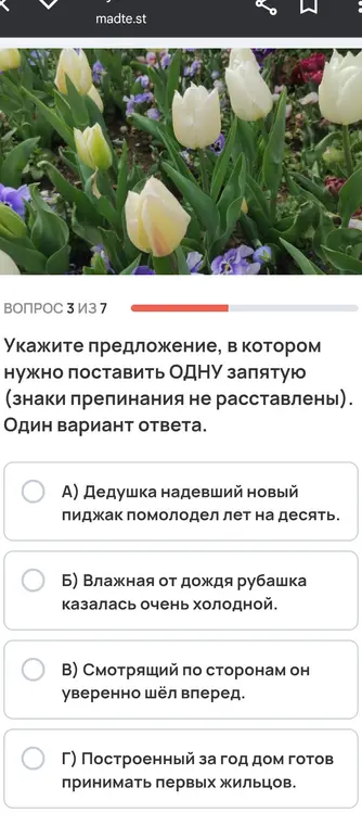 Укажи предложение, в котором нужно поставить одну запятую