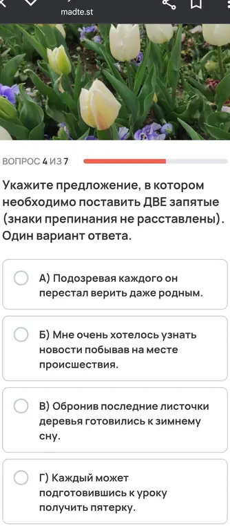 Укажи предложение, в котором необходимо поставить две запятые