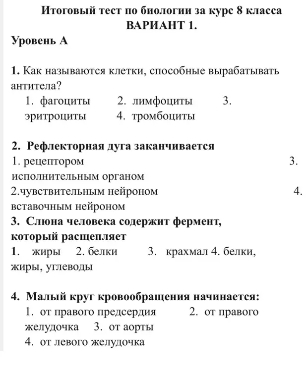 Как называются клетки, способные вырабатывать антитела?