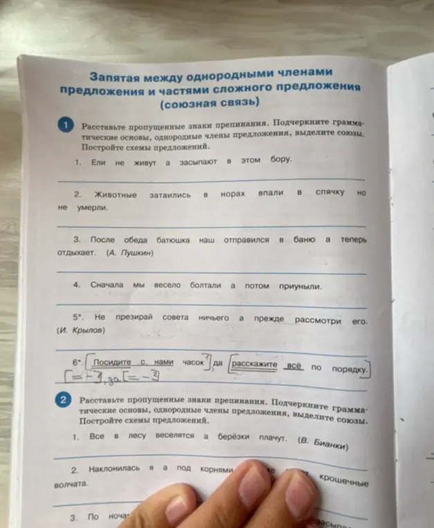 Расставь пропущенные знаки препинания в предложении 'Ели не живут а засыпают в этом бору', подчеркни грамматические основы, однородные члены предложения, выдели союзы и построй схему предложения.