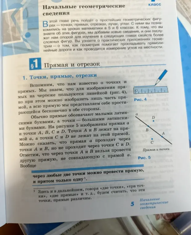 Расскажи, что мне нужно знать из этого текста про прямые и отрезки