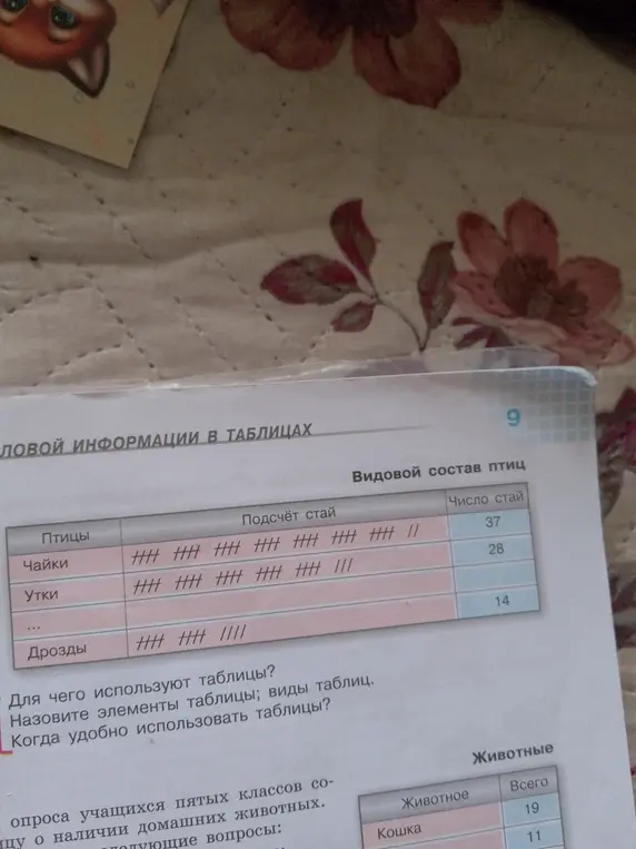 Для чего используют таблицы?