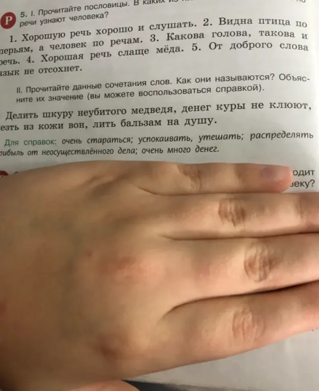 Прочитай пословицы и определи, в каких из них говорится, что по речи узнают человека. Прочитай данные сочетания слов, как они называются и объясни их значение