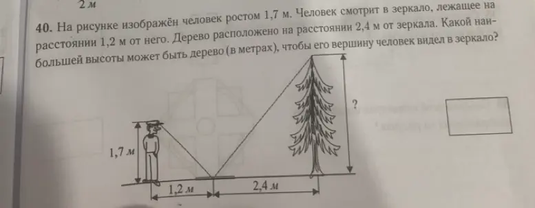 Какой наибольшей высоты может быть дерево, чтобы его вершину человек видел в зеркало?