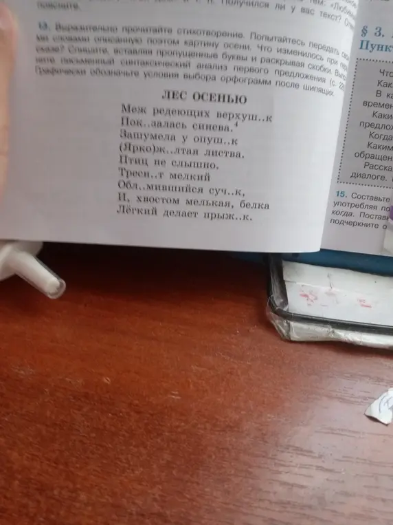 Выразительно прочитай стихотворение, вставь пропущенные буквы и раскрой скобки, а также выполни письменный синтаксический анализ первого предложения.