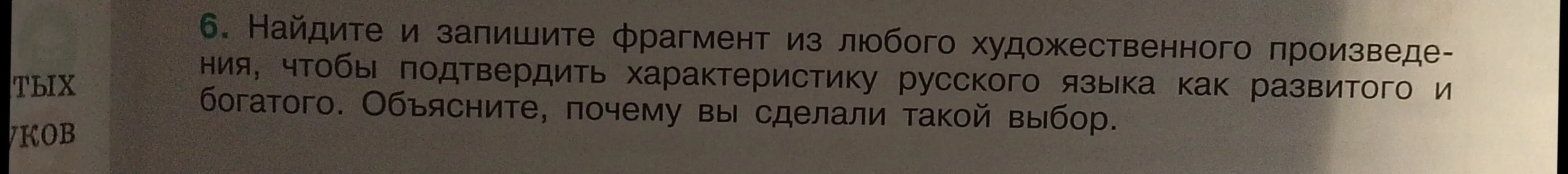 Найди и запиши фрагмент из любого художественного произведения, чтобы подтвердить характеристику русского языка как развитого и богатого. Объясни, почему ты сделал такой выбор.