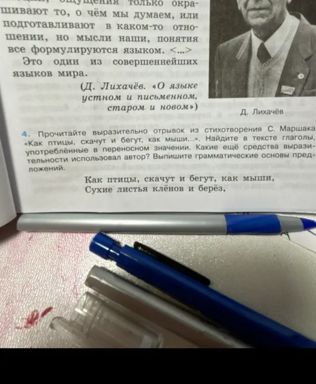 Найти в тексте глаголы, употреблённые в переносном значении, какие ещё средства выразительности использовал автор, и выписать грамматические основы предложений