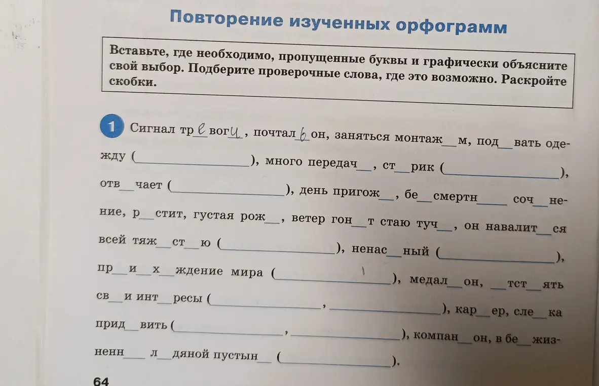 Вставь, где необходимо, пропущенные буквы и графически объясни свой выбор. Подбери проверочные слова, где это возможно. Раскрой скобки.