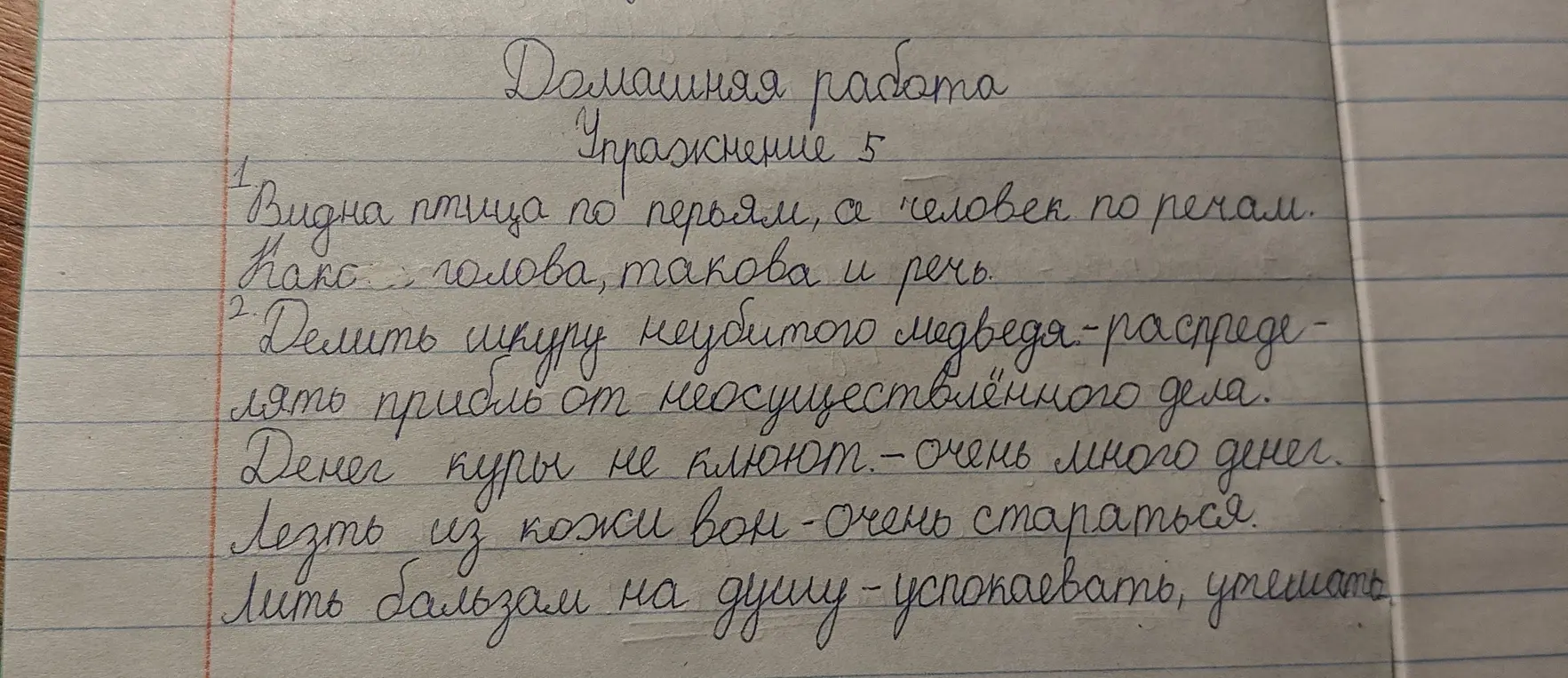Проверь моё домашнее задание по русскому языку.