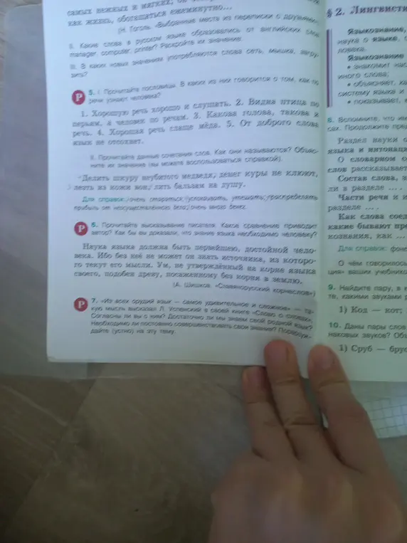 В каких пословицах говорится о том, как по речи узнают человека?