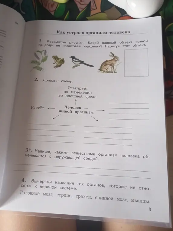 Рассмотри рисунки. Какой важный объект живой природы не нарисовал художник? Нарисуй этот объект.