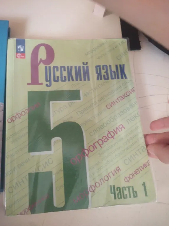 Опиши, что изображено на картинке.