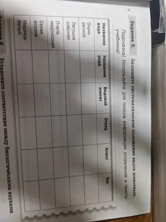 Запиши систематическое положение видов животных в таблицу