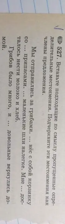 Вставь подходящие по смыслу пропущенные определительные местоимения. Подчеркни эти местоимения как члены предложения.
