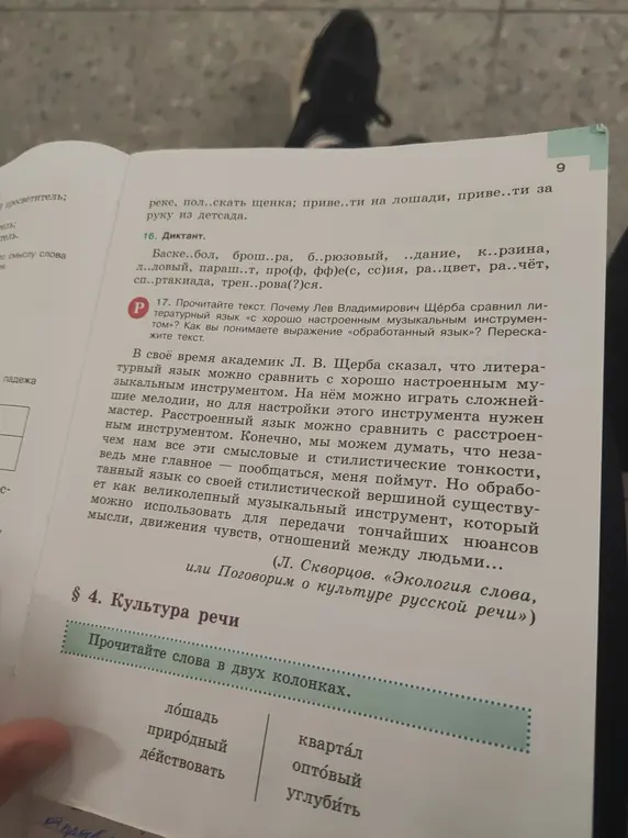 Объясни, почему Лев Владимирович Щерба сравнил литературный язык с хорошо настроенным музыкальным инструментом и что значит выражение «обработанный язык»