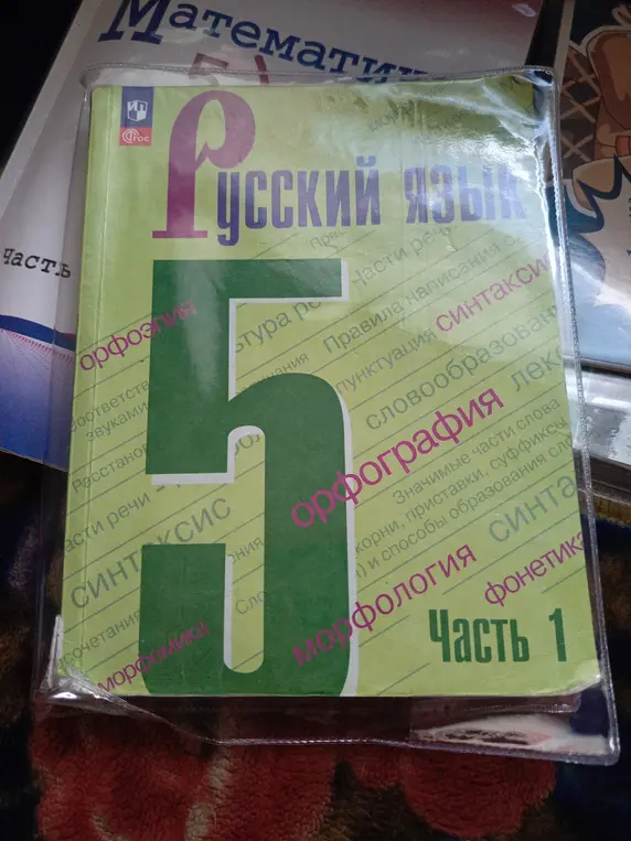 Какие разделы русского языка изучают в 5 классе, судя по обложке учебника?