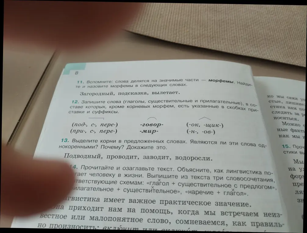 Выдели морфемы в словах: Загородный, подсказка, вылетает.