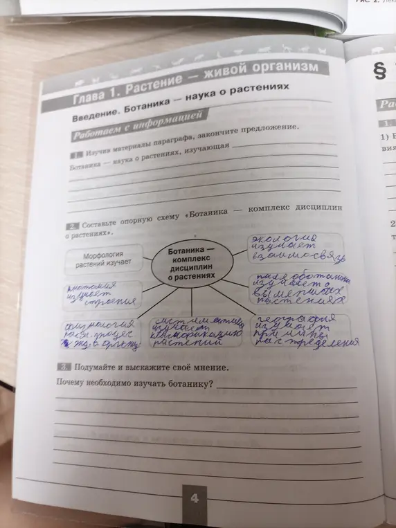 Закончи предложение "Ботаника — наука о растениях, изучающая..."