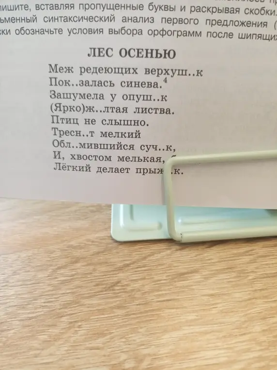 Вставь пропущенные буквы и раскрой скобки в тексте «Лес осенью», сделай синтаксический анализ первого предложения и обозначь условия выбора орфограмм после шипящих.