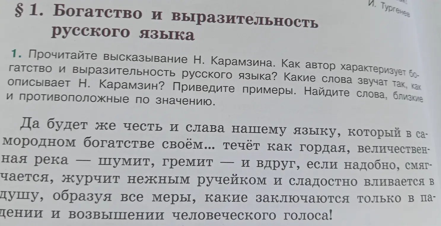 Как автор характеризует богатство и выразительность русского языка?