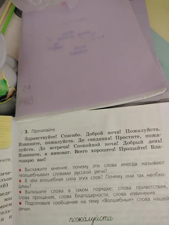 Выскажи мнение: почему слова из текста иногда называют «волшебными» словами русской речи?