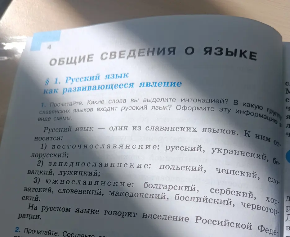 Какие слова выделить интонацией и в какую группу входит русский язык?