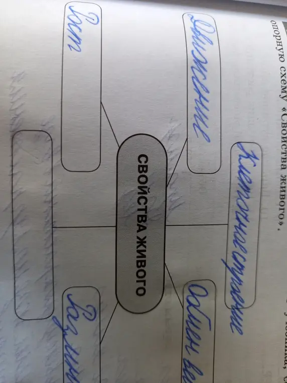 Дополни схему «Свойства живого»